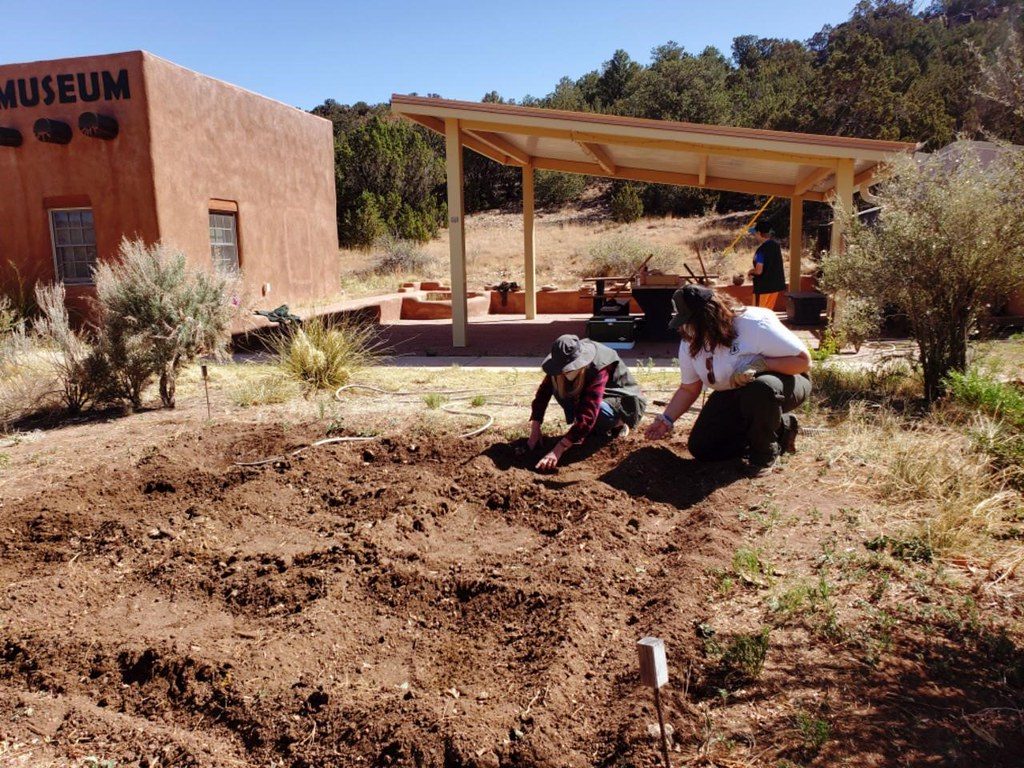 A person kneeling to plant into a prepared garden bed